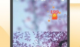 豆花短视频,探寻美食背后的故事与魅力